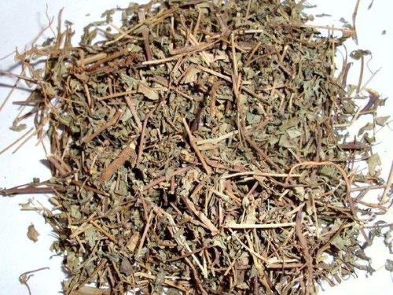 地锦草，常年批发供应冷背中药材，地锦草量大从优