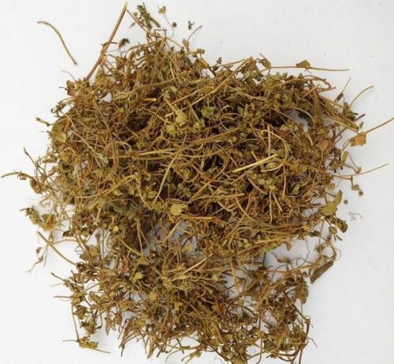 地锦草，常年批发供应冷背中药材，地锦草量大从优