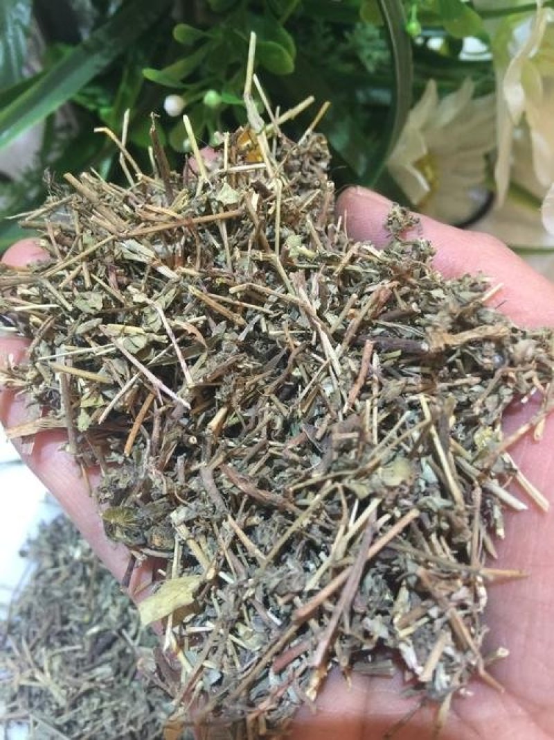 地锦草，常年批发供应冷背中药材，地锦草量大从优