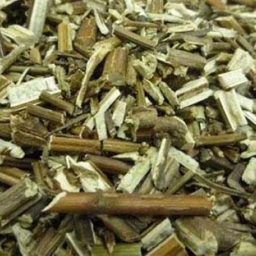 常年批发代购紫苏梗野生货