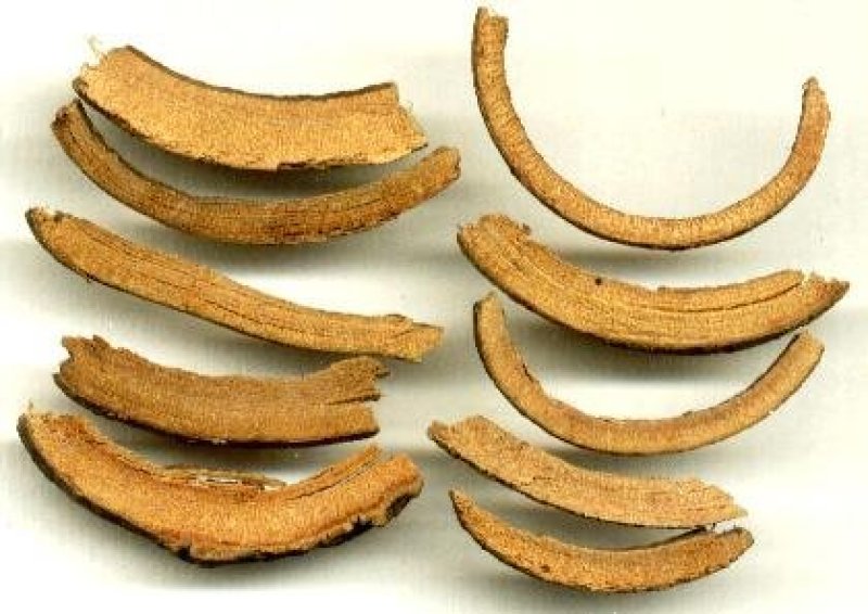常年批发代购秦皮量大从优
