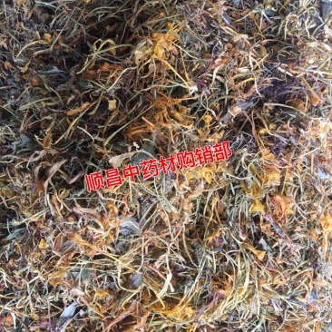 金银花【包邮】三斤起发货可批量可零售量大从优