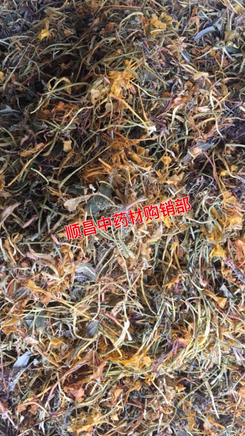 金银花【包邮】三斤起发货可批量可零售量大从优