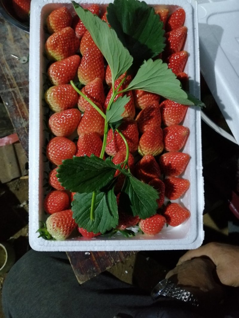 山东富硒甜宝草莓
