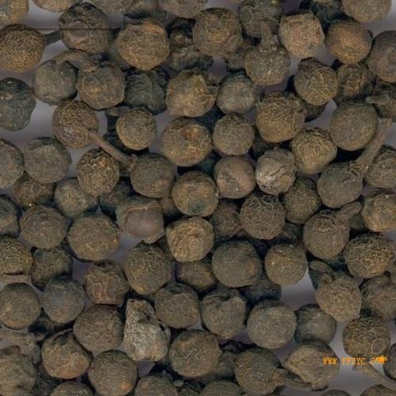 荜澄茄，常年批发供应荜澄茄广西浙江货