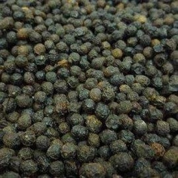 荜澄茄，常年批发供应荜澄茄广西浙江货