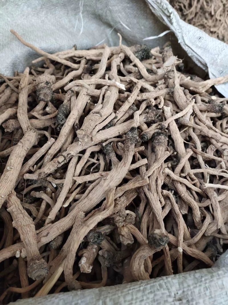 陕西产，板蓝根统个