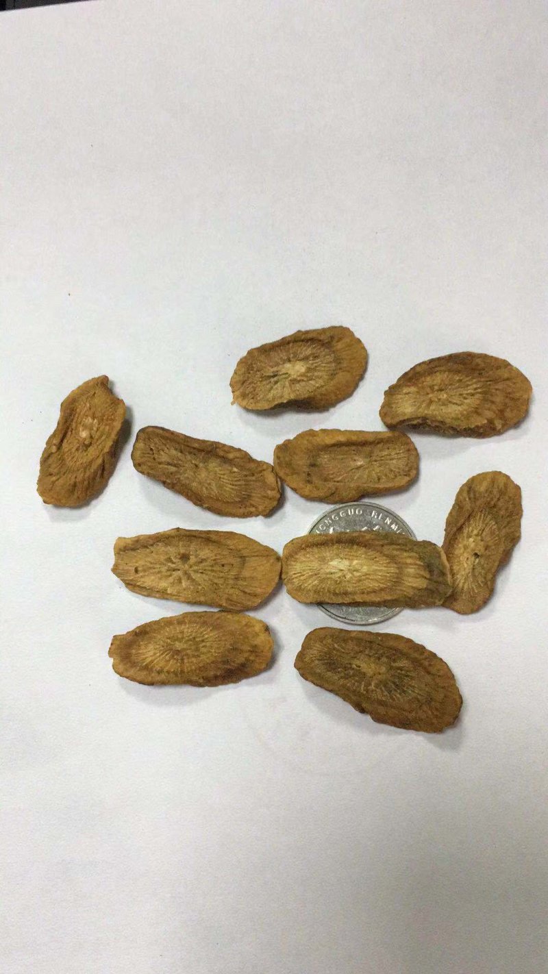 牛蒡茶