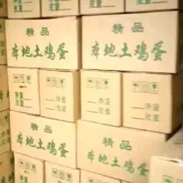 粉蛋