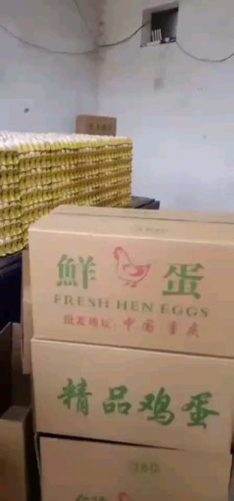 粉蛋