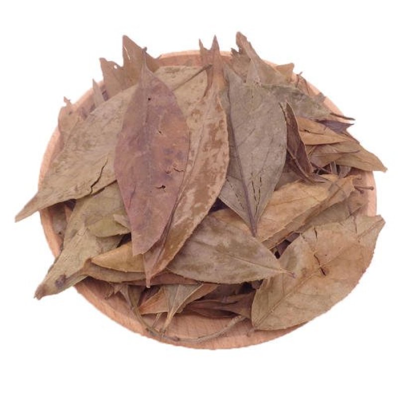 常年批发代购乌饭叶益精气，强筋骨