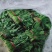 山东省聊城市万亩精品大叶菠菜，聊城专业代收