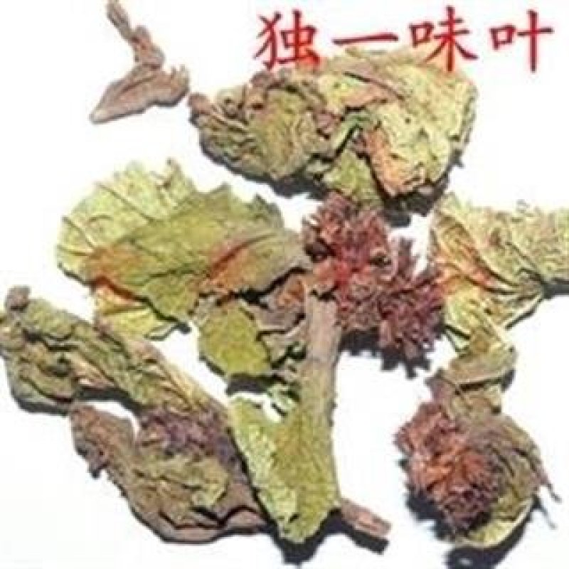常年批发代购独一味跟独一味叶