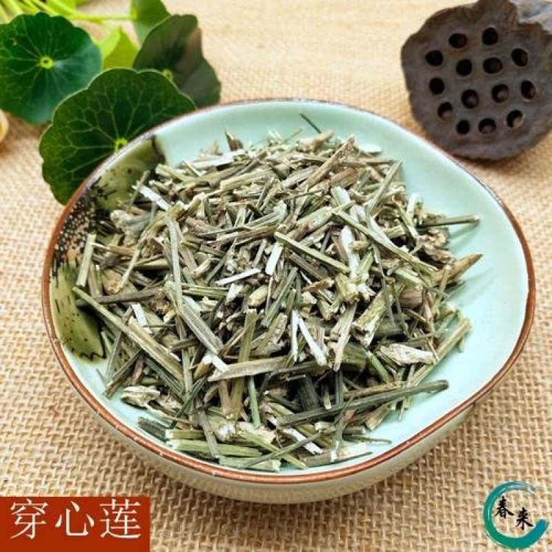 常年批发代购穿心莲量大从优