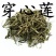 常年批发代购穿心莲量大从优