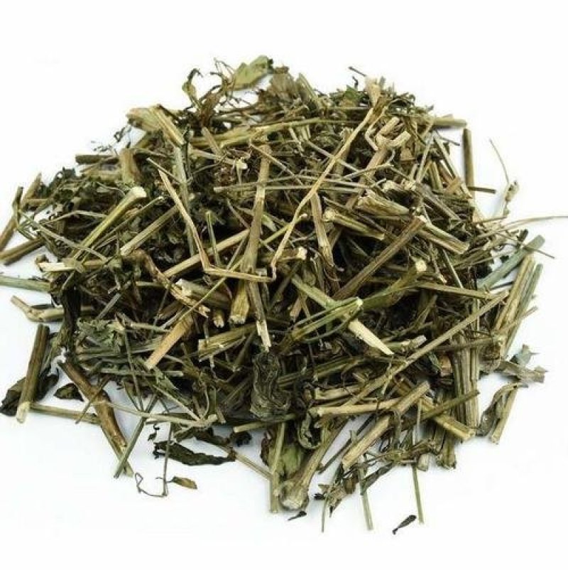 常年批发代购穿心莲量大从优