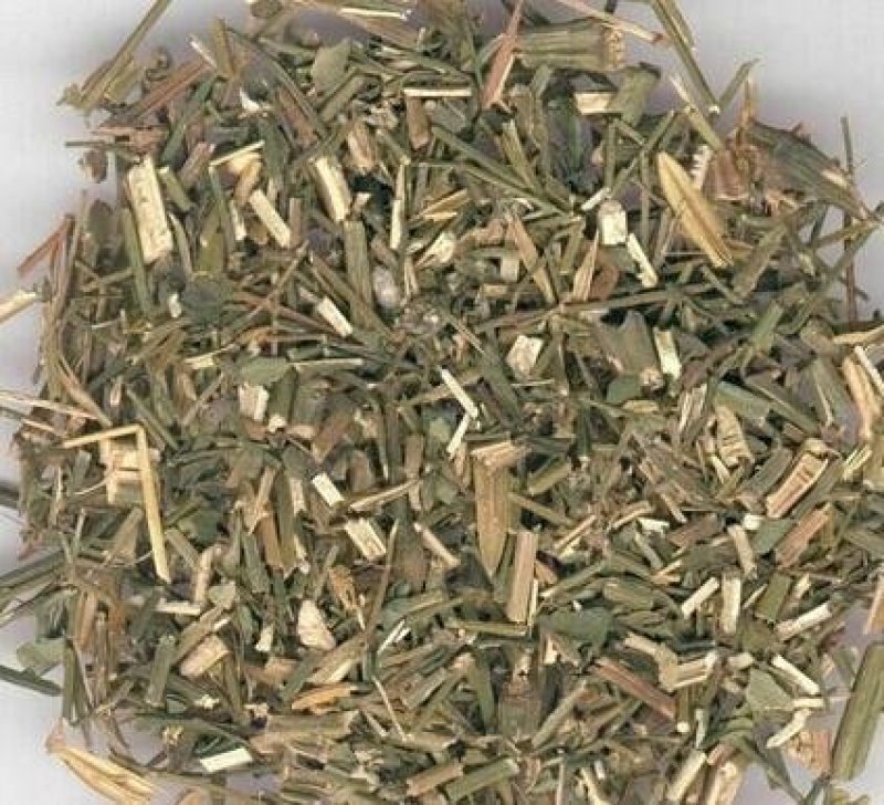 常年批发代购穿心莲量大从优