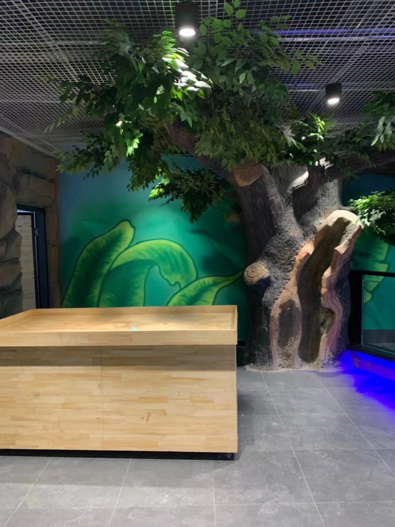 进口华卡约羊驼养殖基地。