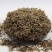 ，垂盆草，常年批发供应垂盆草量大从优