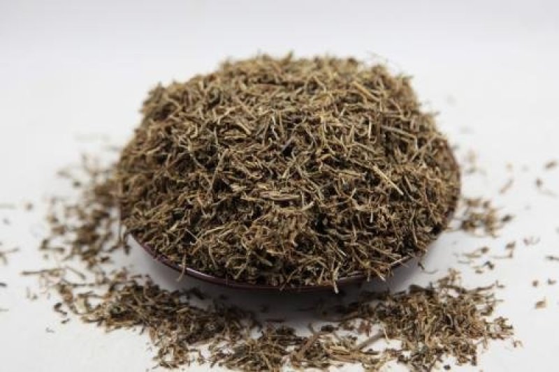 ，垂盆草，常年批发供应垂盆草量大从优