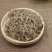 ，垂盆草，常年批发供应垂盆草量大从优