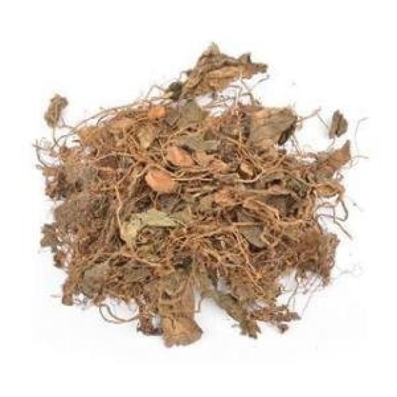 常年批发代购虎耳草量大从优