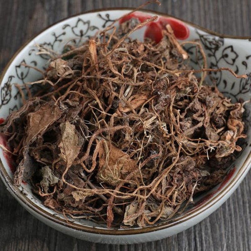 常年批发代购虎耳草量大从优