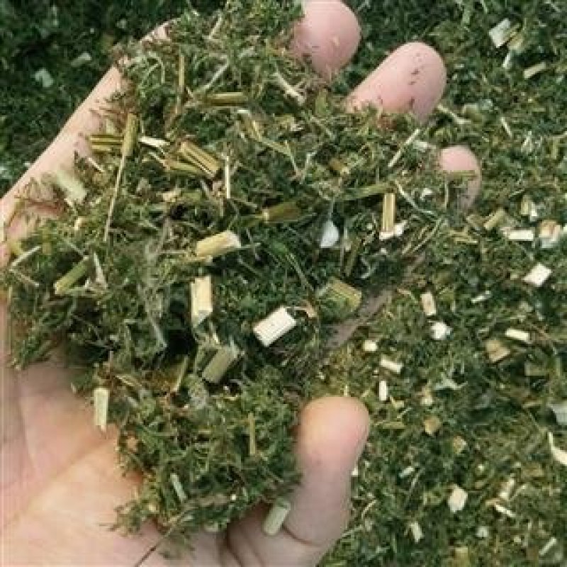 青蒿，常年批发供应青蒿中药材，量大从优