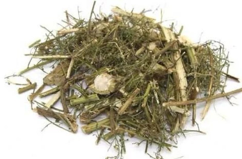 青蒿，常年批发供应青蒿中药材，量大从优