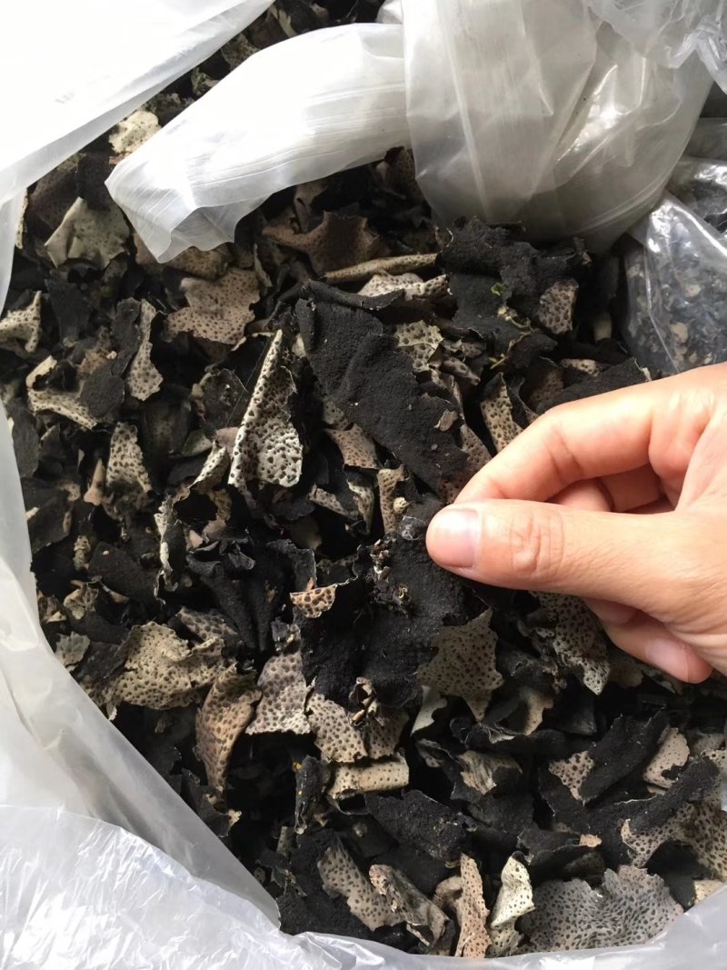 石耳（石菇）石木耳.岩菇.石花，一手货源.一斤起发.