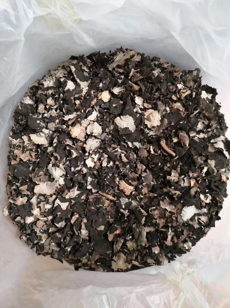 石耳（石菇）石木耳.岩菇.石花，一手货源.一斤起发.