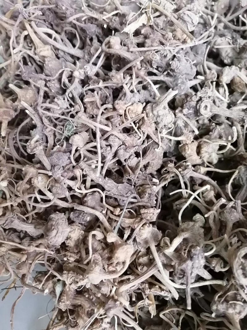 扣子七