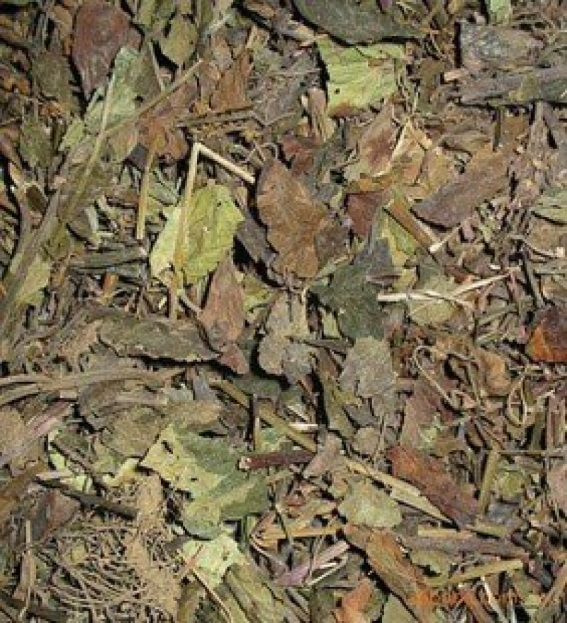 石见穿，常年批发供应农副产品石见穿，量大从优货真价实