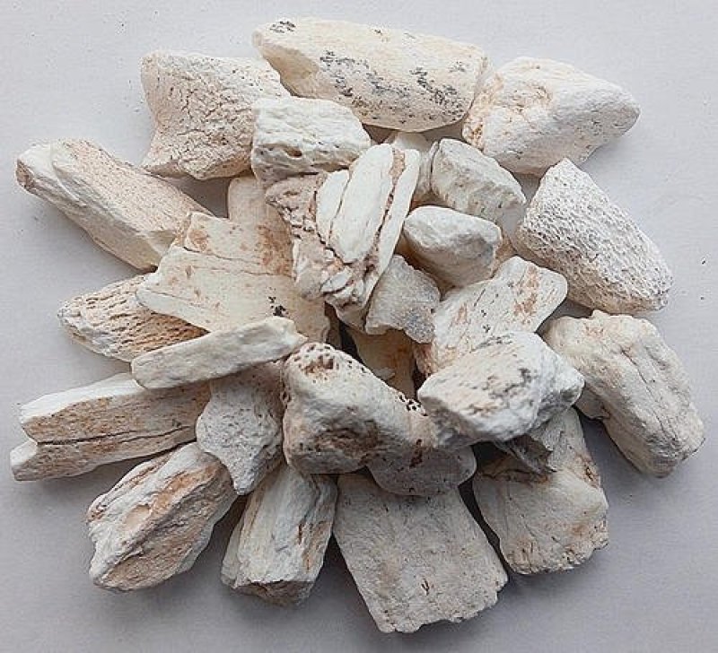 龙骨，正品煅龙骨净货水洗，常年批发代购