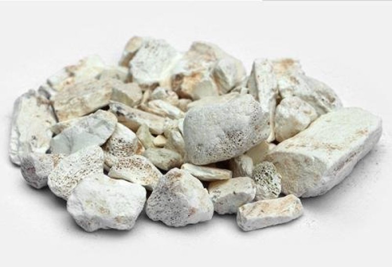 龙骨，正品煅龙骨净货水洗，常年批发代购