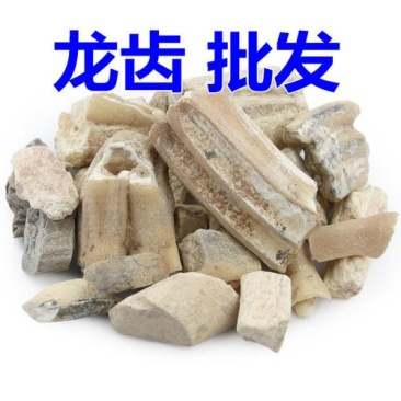 龙齿常年批发代购一公斤包邮