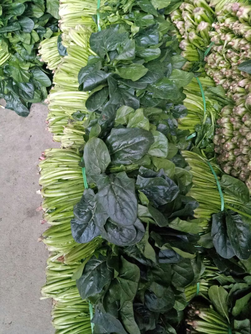 菠菜