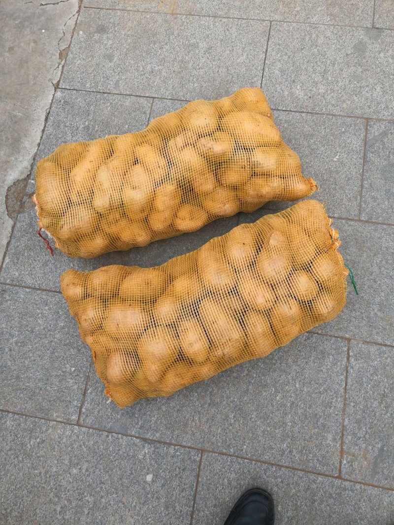 土豆