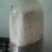 平菇优良品种，一级试管种，原种灰黑色，广温型，抗病高产，