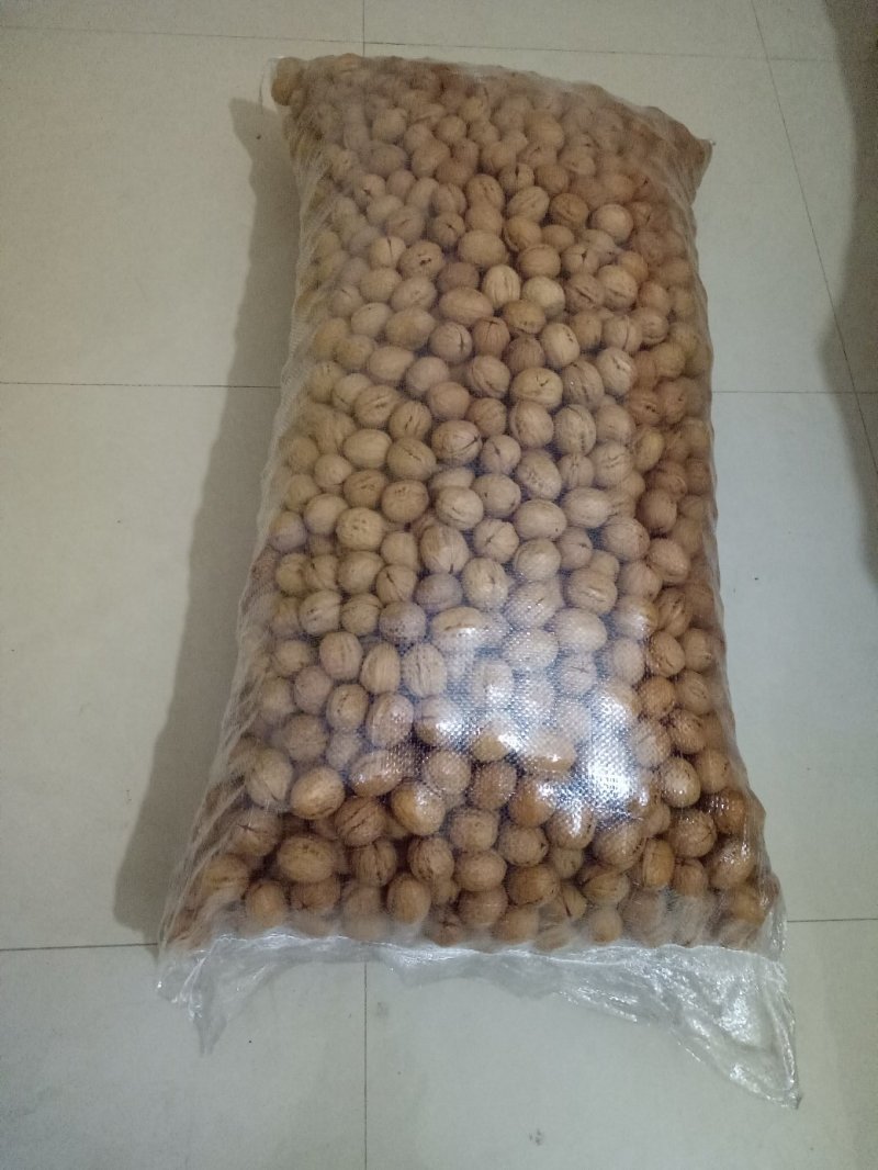 黄龙薄皮香玲核桃