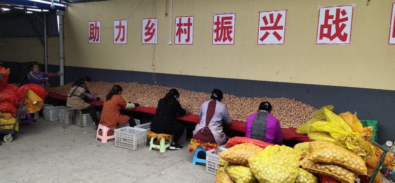 香玲核桃