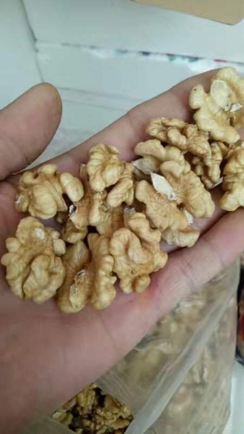 笨核桃优种山西临汾隰县大量出售核桃