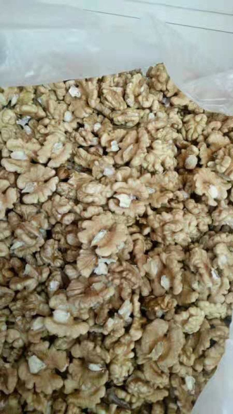 笨核桃优种山西临汾隰县大量出售核桃