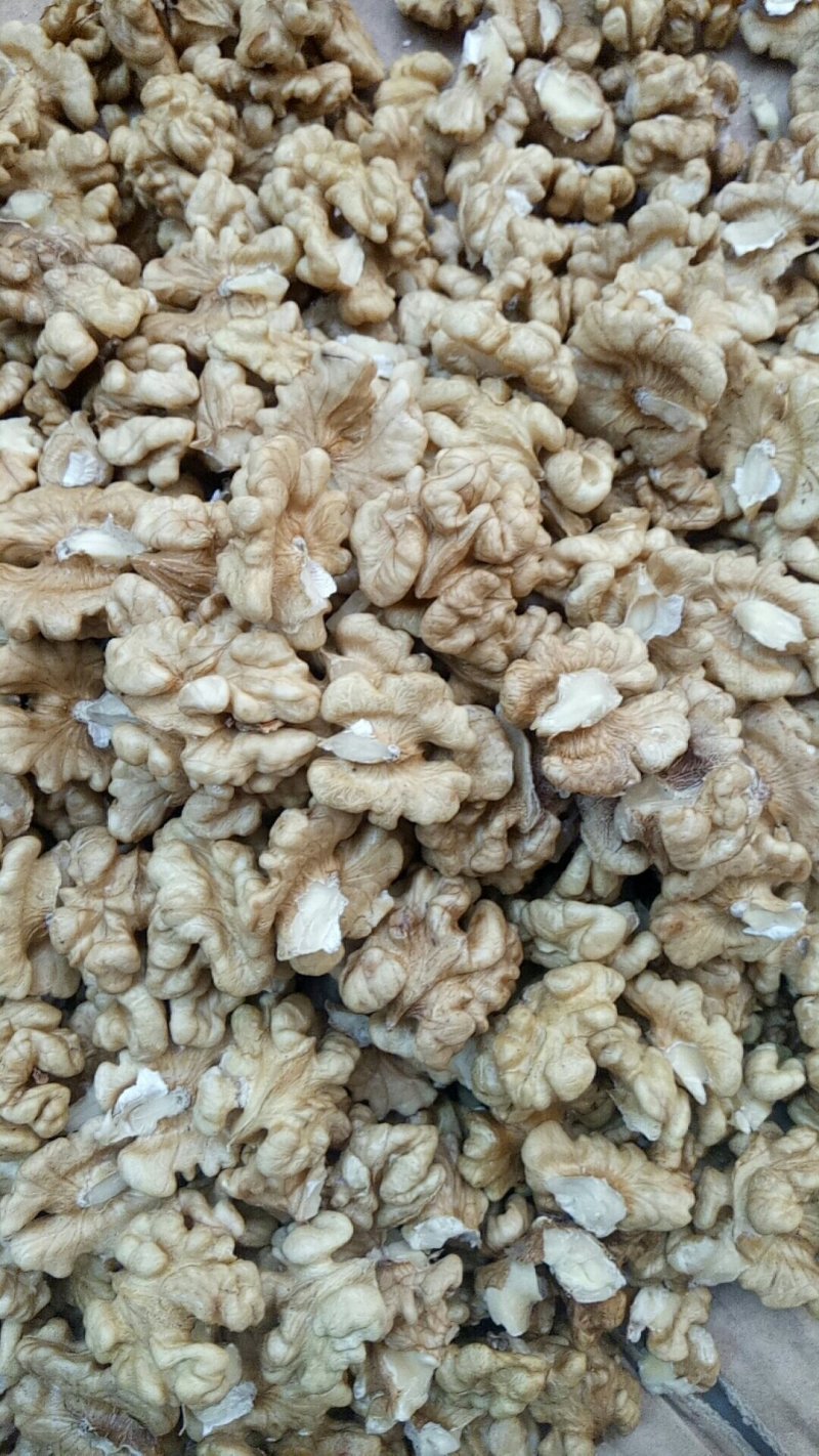 笨核桃优种山西临汾隰县大量出售核桃