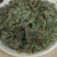 常年批发代购皂矾量大从优
