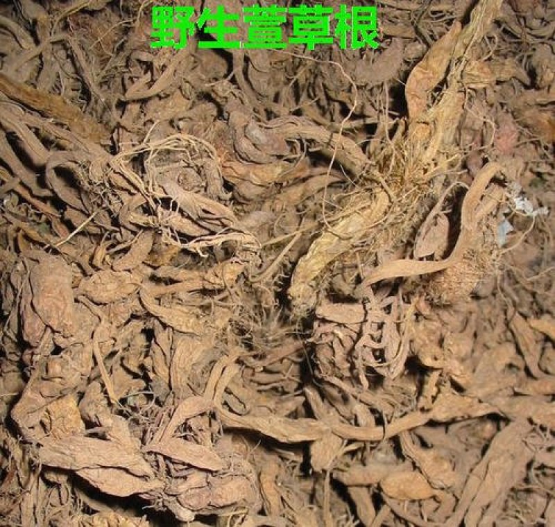 萱草根，常年批发供应冷背中药材，萱草根量大从优冷背药材