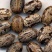常年批发代购蓖麻子黑蓖麻子红蓖麻子野生