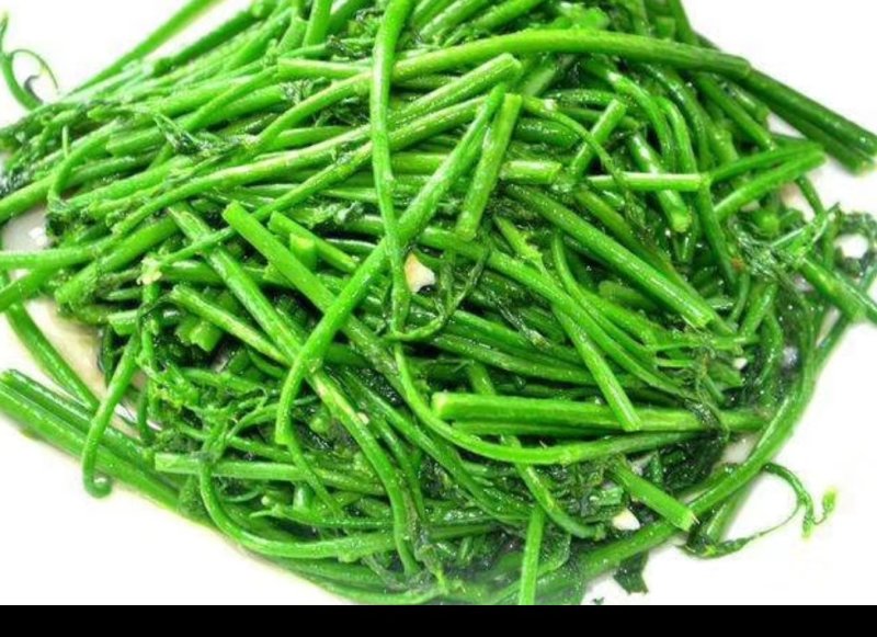 树仔菜鲜芽（天绿香），产地直供