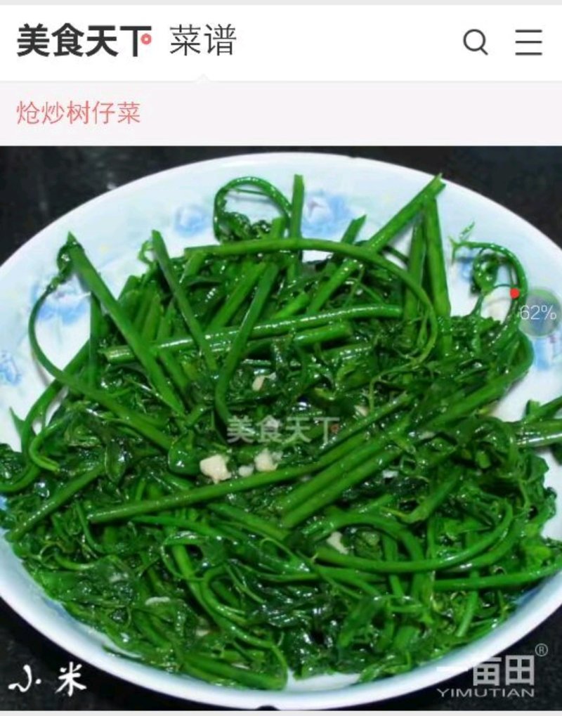 天绿香苗（益肝菜），原生好苗