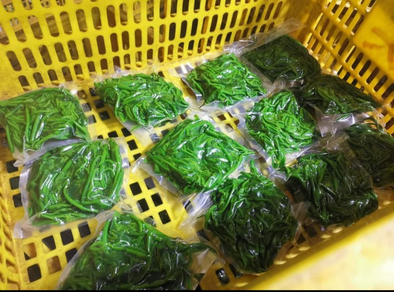 树仔菜鲜芽（天绿香），产地直供